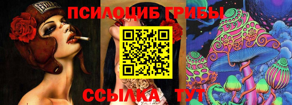 Галлюциногенные грибы прущие грибы  Вход с VPN  Усть-Джегута 