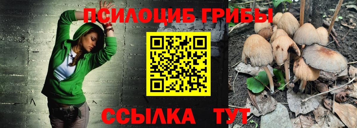 Псилоцибиновые грибы мухоморы Усть-Джегута