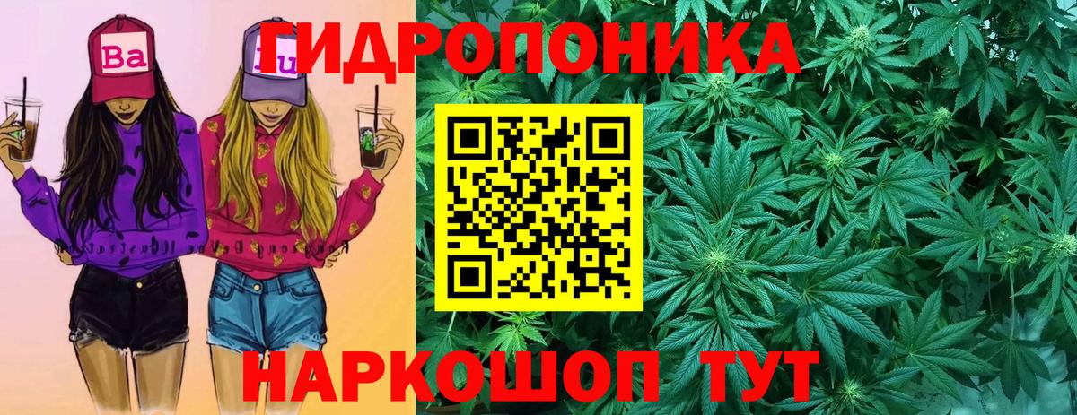 Каннабис SATIVA & INDICA  Канабис MAZAR  Усть-Джегута  Вход с VPN 